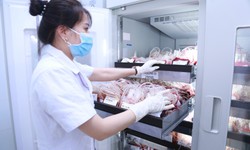 Nâng cao chất lượng, bảo đảm an toàn truyền máu tại Nghệ An