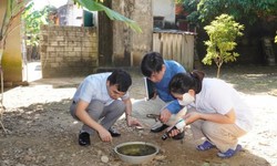 Ghi nhận 13 ca mắc sốt xuất huyết tại ổ dịch thôn Phố Thiều