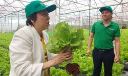 637 người ngộ độc thực phẩm trong 9 tháng, TPHCM siết kiểm soát từ nguồn cung