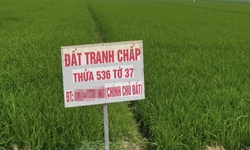 Đất tranh chấp: Những điểm người dân dễ nhầm lẫn