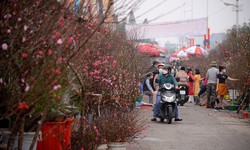 Chuyên gia nói về diễn biến thời tiết trong tháng 2, Tết Nguyên đán có thể sẽ ấm