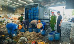  Tiêu hủy hơn 5 tấn giá đỗ sử dụng chất cấm ở Hải Phòng