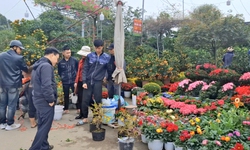 Phố phường rộn ràng không khí mua sắm Tết