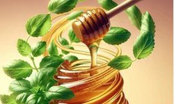 Kết hợp húng quế với mật ong có tác dụng gì?