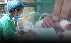 Tết bệnh viện (3): Xuân yêu thương ở nơi "ươm mầm" sự sống