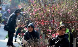 Miền Bắc có thể mưa phùn cả Tết Nguyên đán 2026