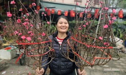 Sắc màu Tết quê giữa lòng Thủ đô