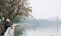 Miền Bắc tăng nhiệt hửng nắng, sương mù chỉ còn vào sáng sớm