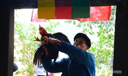 Người Mông đón Tết ở Thủ đô