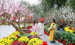 Top những không gian và điểm đến du Xuân tại Hà Nội dịp Tết Bính Ngọ