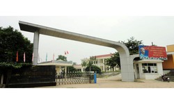 Mía đường Sơn Dương bị xử phạt vi phạm chứng khoán