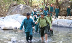 Giữ 'lá phổi xanh' bình yên trong những ngày Tết