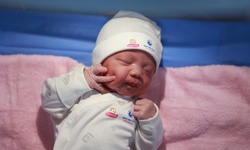 Đón chào những bé 'ngựa vàng' đầu tiên của năm Bính Ngọ ở TPHCM