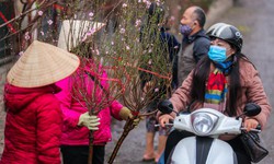 Miền Bắc chuyển mưa phùn kèm rét ngày mùng 1 Tết