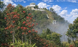 Say đắm sắc hoa mùa xuân giữa đại ngàn Bạch Mã