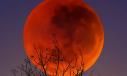 Những hiện tượng thiên văn kỳ thú sắp diễn ra thắp sáng bầu trời đêm những tuần tới