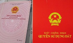 5 điều cần biết về sổ đỏ và sổ hồng mới nhất