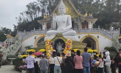 Sức hút du lịch tại xứ Thanh những ngày đầu Xuân