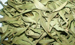 5 công thức trà với cỏ ngọt