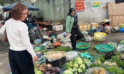 Hết Tết, người dân 'giải ngấy': Rau xanh đắt hàng
