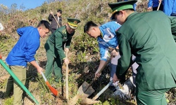 Tuyên Quang: Trồng 3.000 cây xanh ở vành đai biên giới Việt - Trung