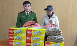 Phát hiện 1.500 chiếc xúc xích nhập lậu đựng trong bao tải dứa