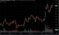 TPS khuyến nghị mua đối với cổ phiếu VNM