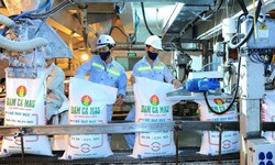 Yuanta Việt Nam kỳ vọng thị giá cổ phiếu DCM đạt 47.000 đồng