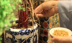 Nên bao sái bàn thờ năm 2026 trước hay sau khi cúng ông Công ông Táo?