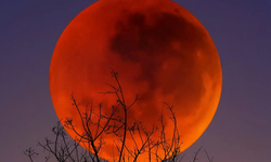 Chi tiết về hiện tượng Trăng máu kỳ ảo sắp diễn ra, Việt Nam có thể quan sát được