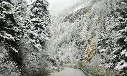 Vì sao Sa Pa ngày càng hiếm tuyết rơi?