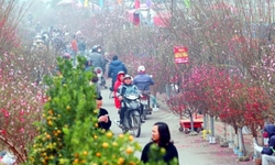 Miền Bắc đón 3 đợt không khí lạnh trước và sau Tết Nguyên đán