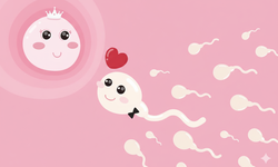 Có nên thụ thai ngay những ngày đầu năm? Góc nhìn chuyên gia