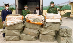 Vận chuyển hơn nửa tấn nầm lợn bốc mùi không rõ nguồn gốc, tài xế bị phạt 35 triệu đồng