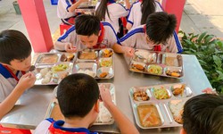 Đa dạng hóa thực phẩm học đường với sắc màu cầu vồng trên đĩa ăn của trẻ