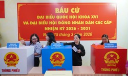 Những điều cử tri cần lưu ý khi tham gia bỏ phiếu