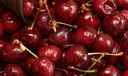 Axit uric tăng vọt: Đừng chỉ kiêng thịt, hãy ăn ngay 4 loại quả giàu vitamin C sau