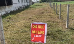 Hộ, cá nhân cho thuê bất động sản doanh thu từ 500 triệu đồng/ năm trở xuống không phải nộp thuế