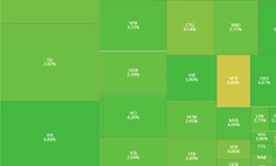 VN-Index ngày 11/3 tăng 51,61 điểm