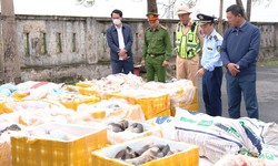 Chặn xe tải chở hơn 2,6 tấn nội tạng, xương động vật không rõ nguồn gốc