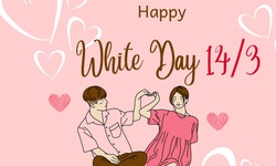 Lời chúc ngày Valentine 14/3 - Valentine trắng tặng vợ chồng yêu thương