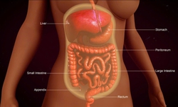 Ung thư phúc mạc phức tạp gia tăng, các chuyên gia hội tụ ở Singapore chia sẻ kinh nghiệm chẩn đoán, điều trị