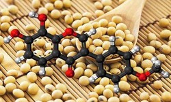 Isoflavone và hành trình trở thành lựa chọn của hàng triệu phụ nữ trong chăm sóc nội tiết tố