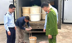 Hãi hùng phát hiện hơn 1 tấn lòng lợn có dấu hiệu phân hủy, bốc mùi hôi thối trong xe tải