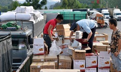 Bộ Y tế: Chuẩn bị đầy đủ các điều kiện thực hiện Nghị định 46 và Nghị quyết 66.13 từ 16/4