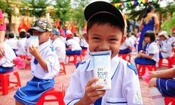 Sữa tươi: Nguồn dinh dưỡng vàng trong thực đơn học đường
