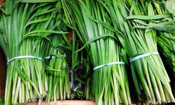 Tác dụng của rau hẹ với sức khỏe: Từ món ăn quen thuộc đến vị thuốc tự nhiên