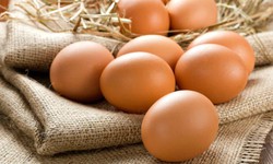 Dược thiện tốt nhất từ trứng gà cho người tăng huyết áp