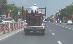 Xác minh ô tô biển xanh chở bàn ghế cồng kềnh, người ngồi trên thùng khi di chuyển