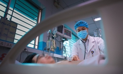 Sốt xuất huyết Dengue và những dự định dở dang bên giường bệnh